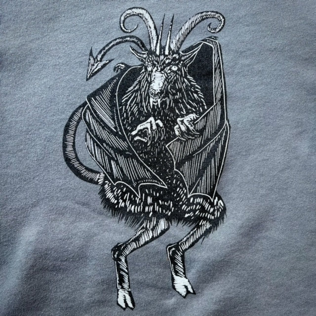 Hoodie Sweatshirt: Jersey Devil