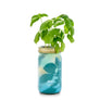 Modern Sprout: Herb Jar, Basil