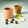 Tiny Terracotta Garden Kit - Baby Watermelon