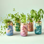 Modern Sprout mint herb grow kit with fresh mint plant in decorative mason jar planter