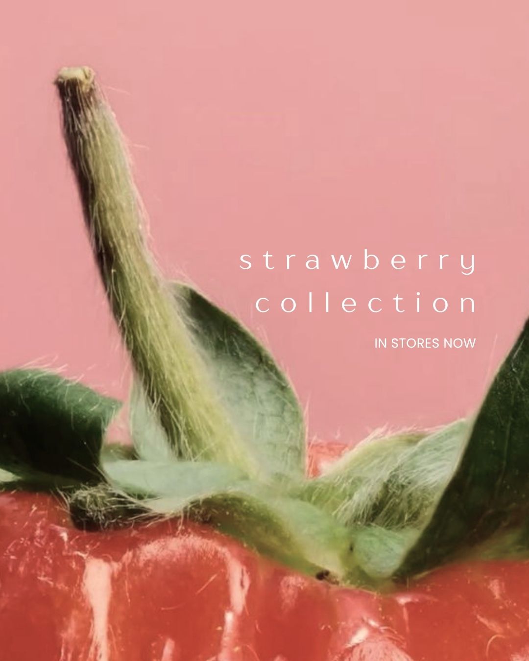 Strawberry Season Starts Here