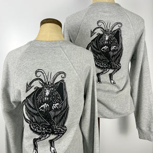 Raglan Crewneck Sweatshirt: Jersey Devil