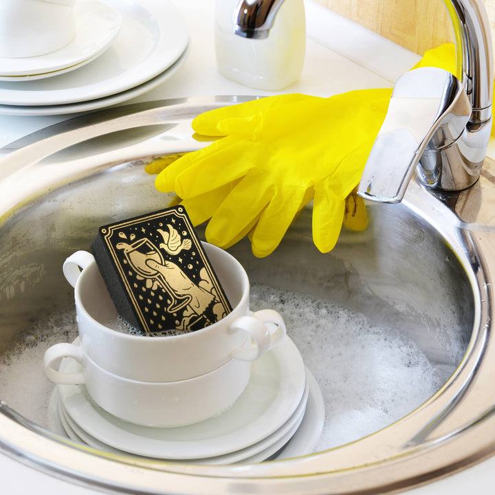 Sponges: Clean Fate