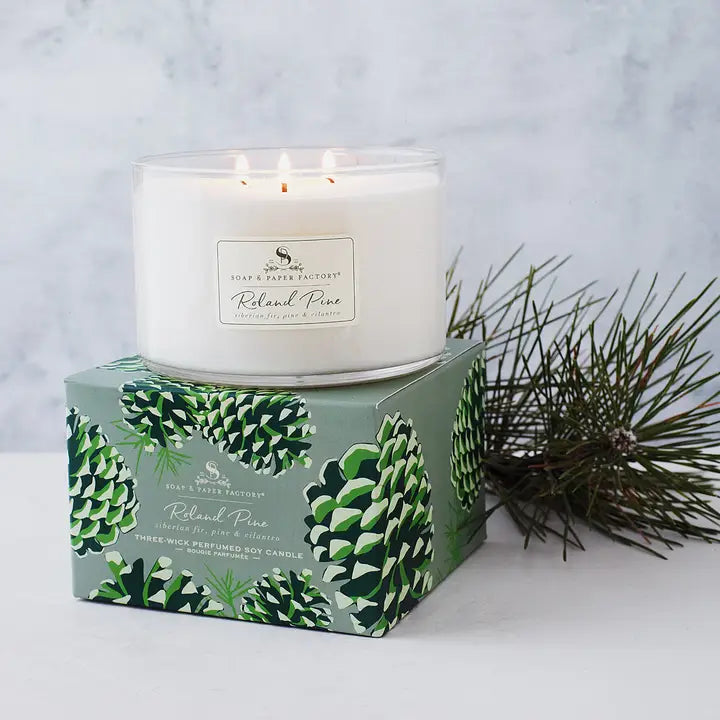 White candle in a decorative box with green leaf patterns, surrounded by pine branches on a light gray background.