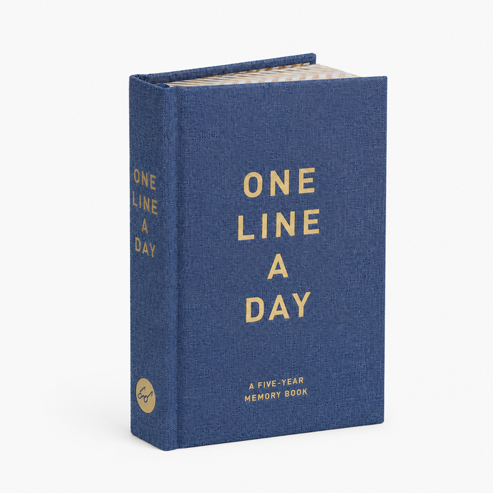 Journal : One Line A Day