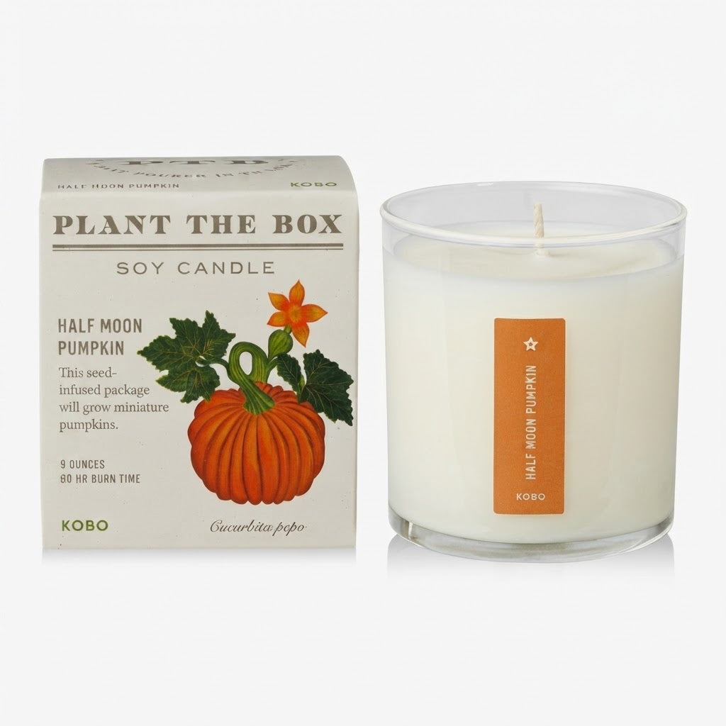 KOBO Plant the Box Half Moon Pumpkin soy candle shown with its illustrated product box and the clear glass candle jar on a white background.