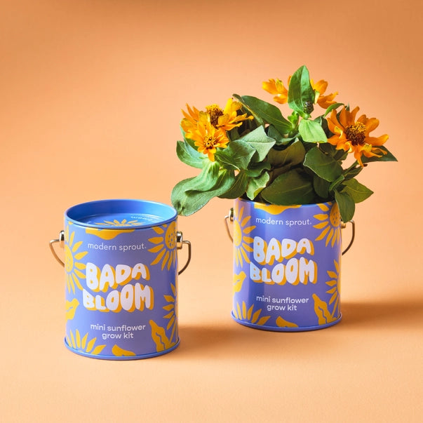 Grow Kits: Bada Bloom