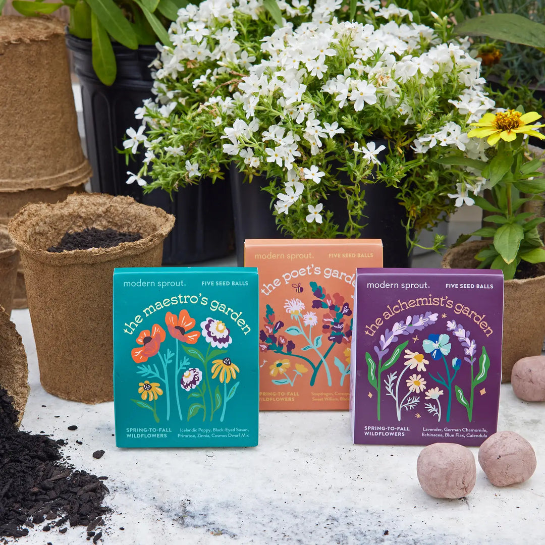 Bespoke Blooms: The Poet's Garden, Seed Balls