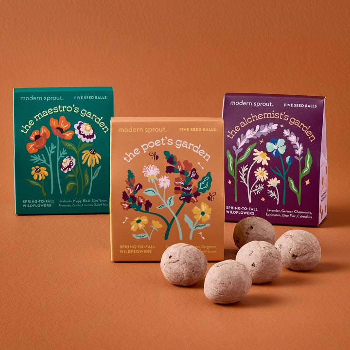 Bespoke Blooms: The Alchemist's Garden, Seed Balls