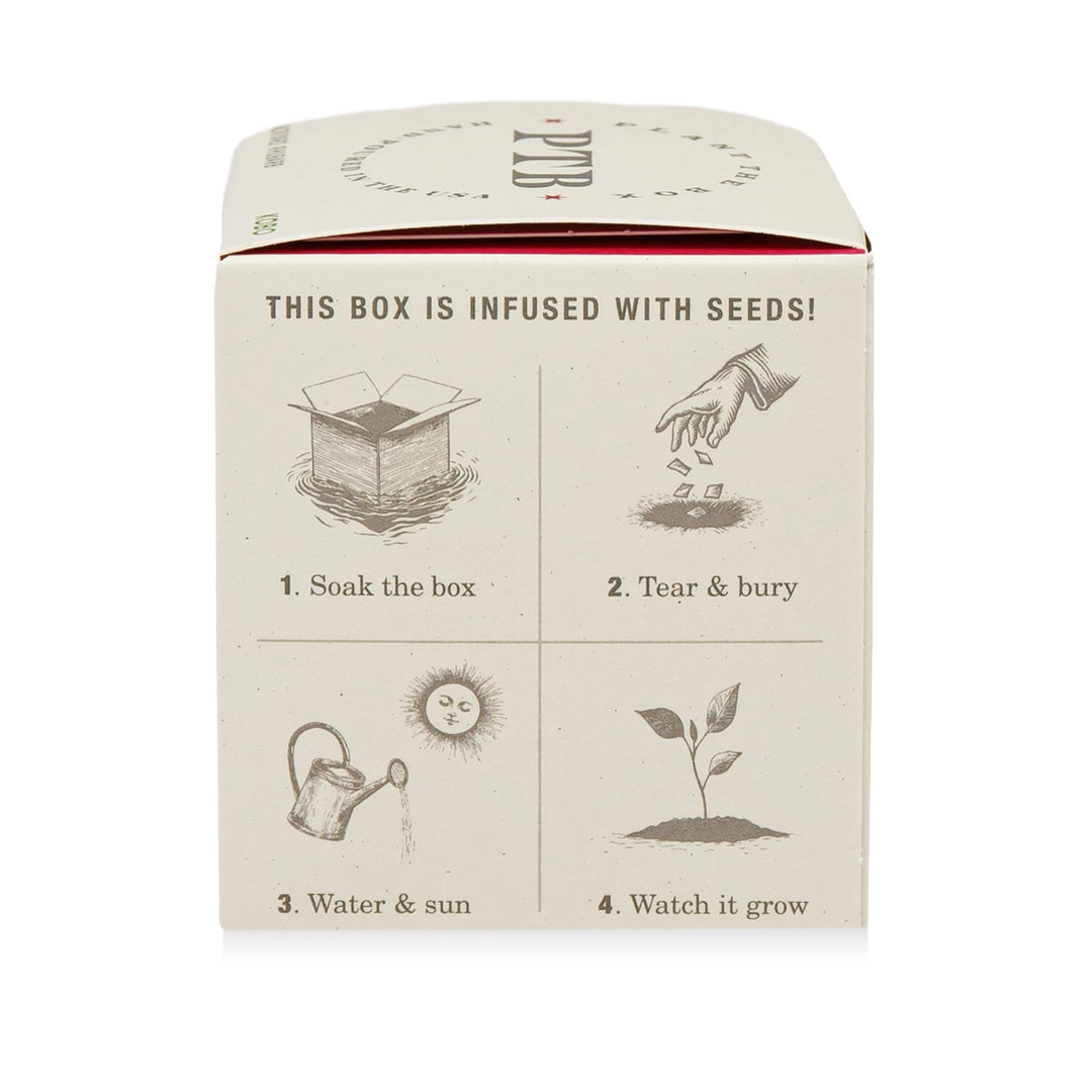 Candle: Ripe Watermelon, Plant the Box Collection