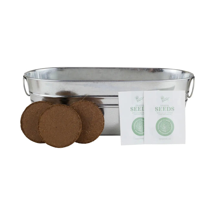 Grow Kit: Windowsill Herbs