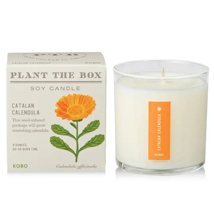 KOBO calendula soy candle with orange calendula flower illustration and white glass jar