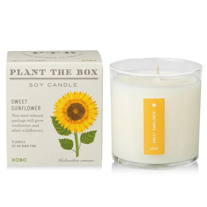 KOBO sweet sunflower soy candle with plantable box and sunflower seed-infused packaging