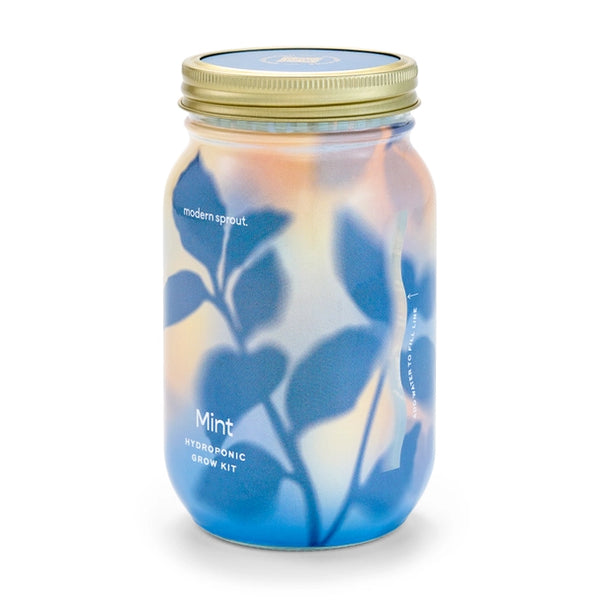 modern sprout hydroponic planter Garden Jar