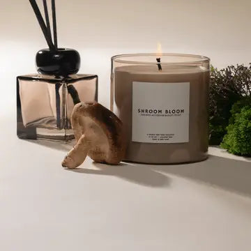Candle: Shroom Bloom