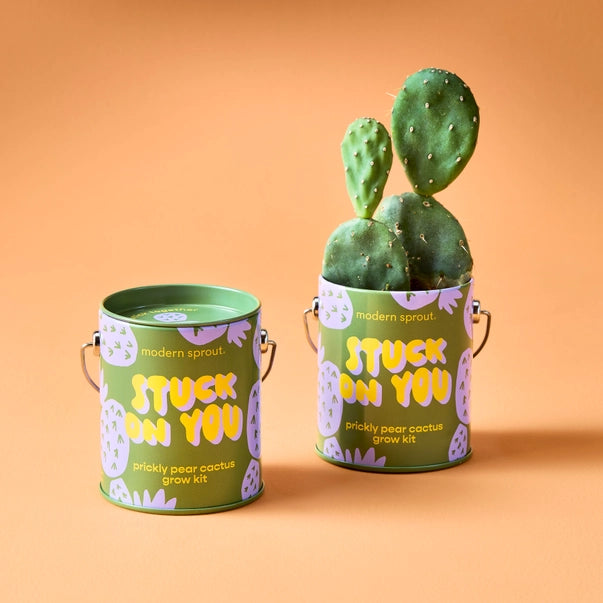 Grow Kits: Stuck On You
