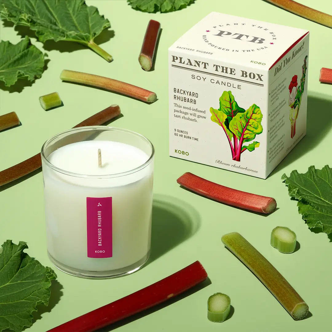 Candle: Backyard Rhubarb, Plant the Box Collection