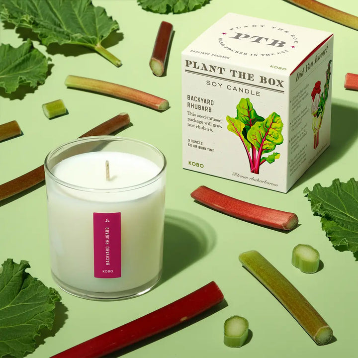 Candle: Backyard Rhubarb, Plant the Box Collection
