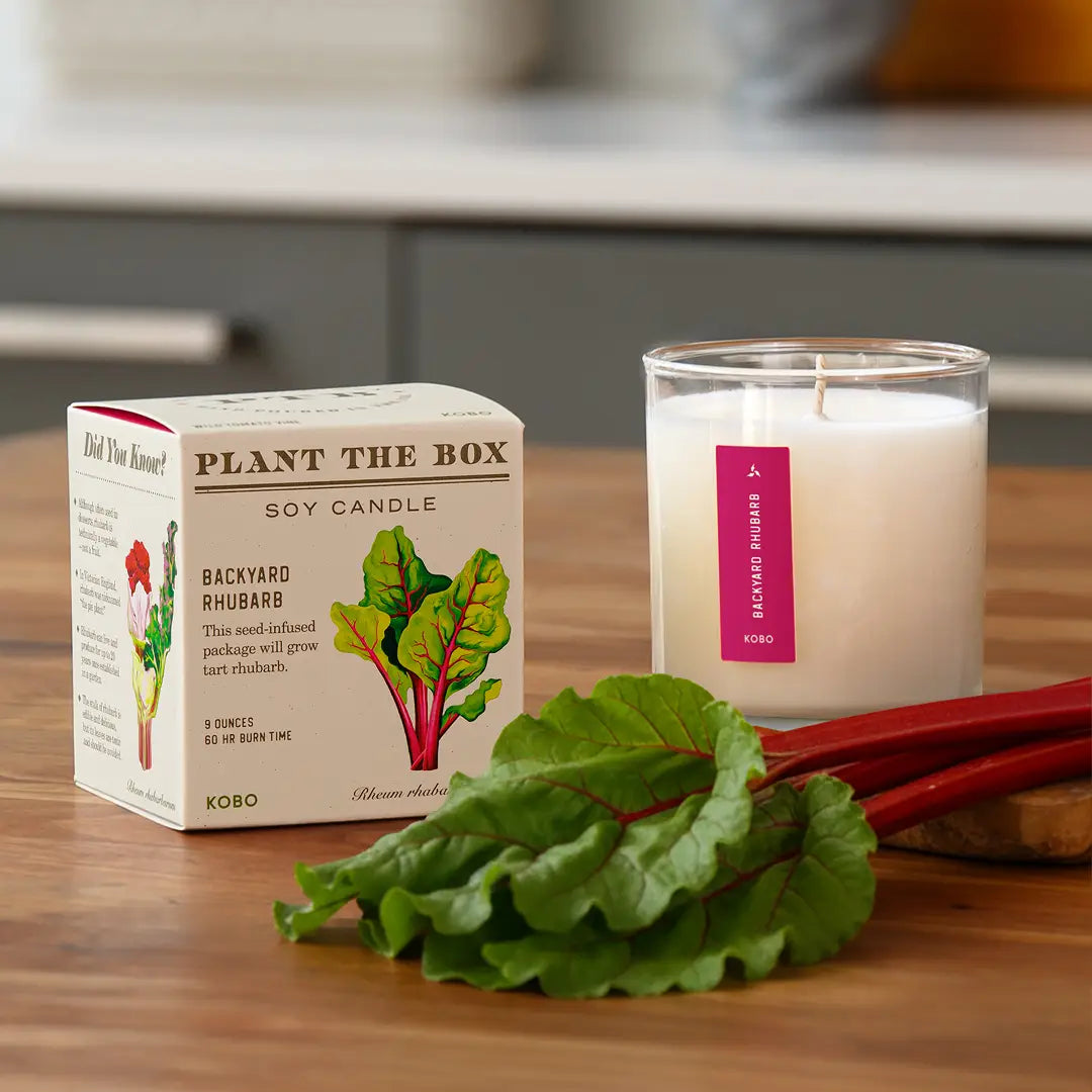 Candle: Backyard Rhubarb, Plant the Box Collection