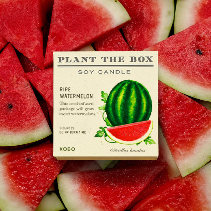 Candle: Ripe Watermelon, Plant the Box Collection