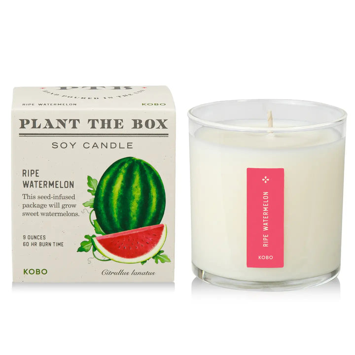 Candle: Ripe Watermelon, Plant the Box Collection
