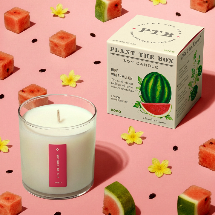 Candle: Ripe Watermelon, Plant the Box Collection