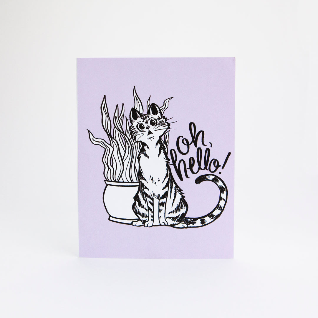 A card that reads "Oh, Hello!" with a drawing of a cat and snake plant on it.
