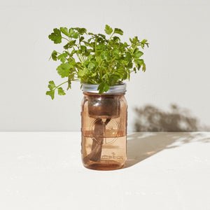 Grow Kit: Parsley, Garden Jar