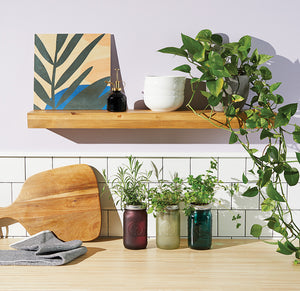 Grow Kit: Parsley, Garden Jar