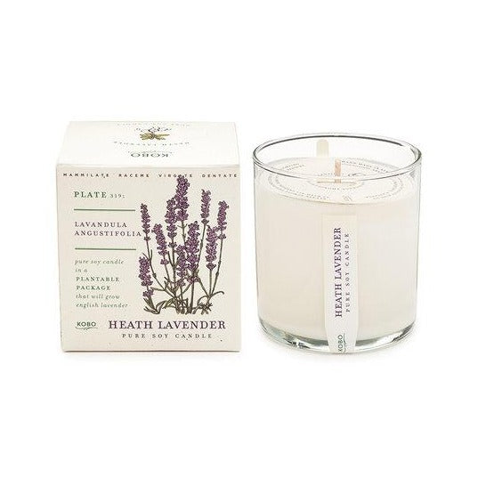 Candle: Heath Lavender, Plant the Box Collection