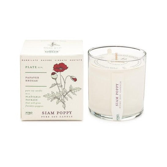Candle: Siam Poppy, Plant the Box Collection