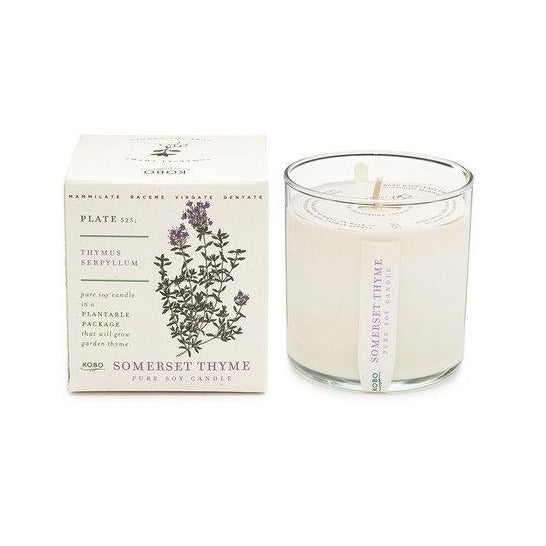 Candle: Somerset Thyme, Plant the Box Collection