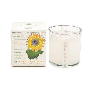 Candle: Sweet Sunflower, Plant the Box Collection