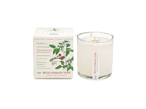Candle: Wild Tomato Vine, Plant the Box Collection