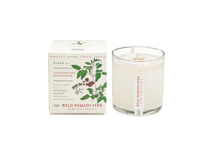 Candle: Wild Tomato Vine, Plant the Box Collection