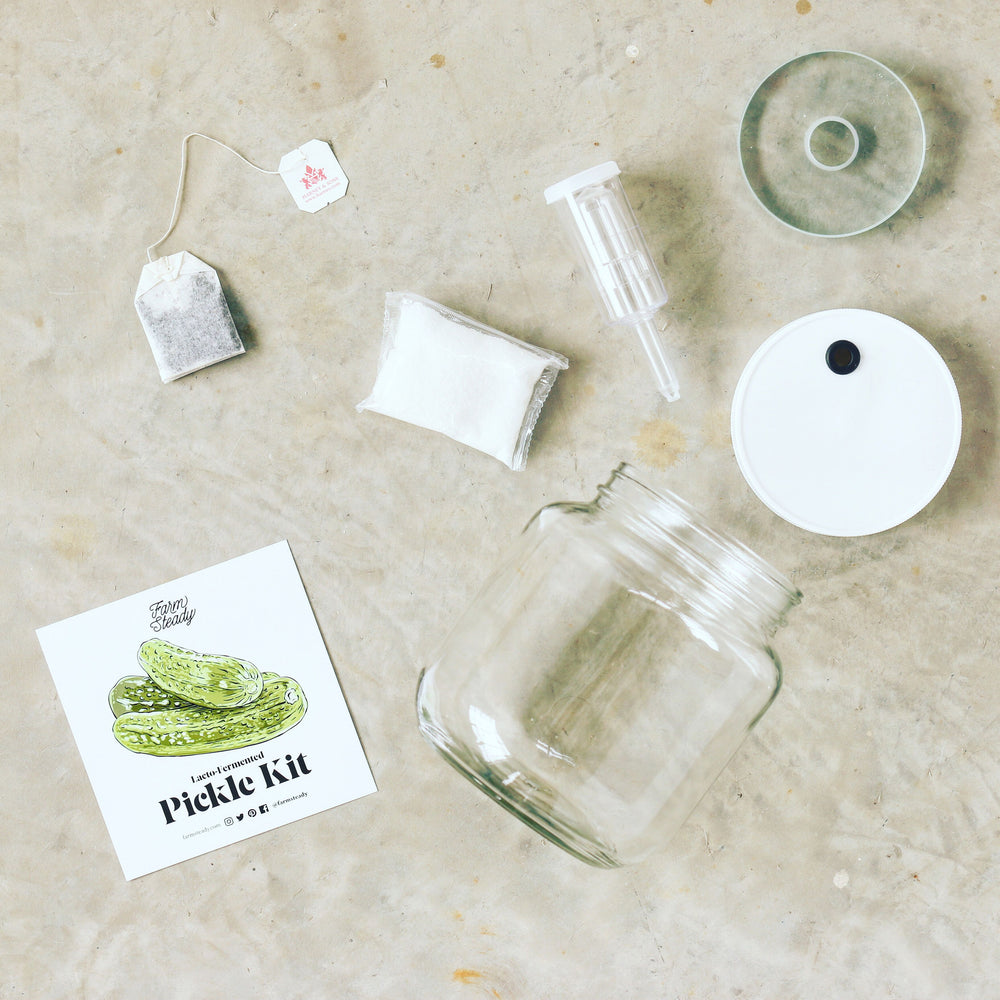 Farm Steady Brooklyn Brew Shop DIY pickle kit with glass jar, lid, airlock, tea bag, and seasoning packet