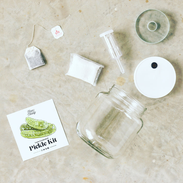 Farm Steady Brooklyn Brew Shop DIY pickle kit with glass jar, lid, airlock, tea bag, and seasoning packet
