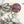 Kanibal Co future is unclear enamel pin with purple glitter and gold lettering placed on a light surface with dried leaves